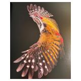 D - BIRDS by Tim Flach Photography Book