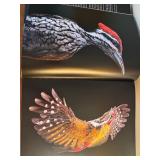 D - BIRDS by Tim Flach Photography Book