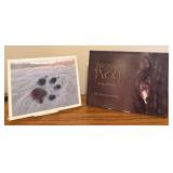 LLO - Brother Wolf and Chased by the Light by Jim Brandenburg - Set of 2 Hardcover Books