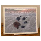 LLO - Brother Wolf and Chased by the Light by Jim Brandenburg - Set of 2 Hardcover Books