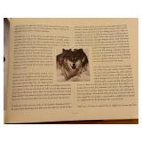 LLO - Brother Wolf and Chased by the Light by Jim Brandenburg - Set of 2 Hardcover Books