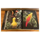 LLO - Chihuly Garden Installations Hardcover Photography Book 2011