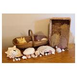 LL - Seashells, Coral, and Sea Fan Collection with Two Woven Baskets
