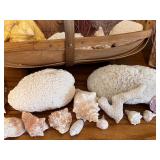 LL - Seashells, Coral, and Sea Fan Collection with Two Woven Baskets