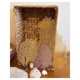 LL - Seashells, Coral, and Sea Fan Collection with Two Woven Baskets