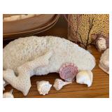 LL - Seashells, Coral, and Sea Fan Collection with Two Woven Baskets