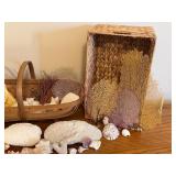LL - Seashells, Coral, and Sea Fan Collection with Two Woven Baskets