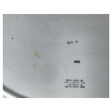 2 - Large Vintage Platters with Turkey Designs on the Front