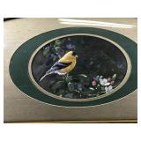 Framed Vintage Bird Picture with Bubbled Glass