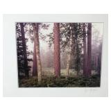 Framed Signed Photograph of the Wilderness