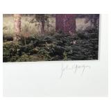 Framed Signed Photograph of the Wilderness