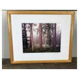 Framed Signed Photograph of the Wilderness