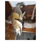 Double walleye mount
