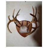 10pt Buck antlers