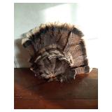 Fan of turkey feathers