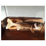 Walleye mount caught in Milacs lake opener 1985