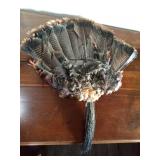 A fan of turkey feathers with beard