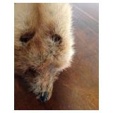 Mink pelt