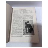 1918 Our Wonder World: A Library of Knowledge Vol 10 Quiz Book