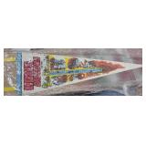 Vintage Howe Caverns New York Pennant