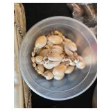 Large Vintage Costume Jewelry Collection with Jewelry Box and Assorted Accessories