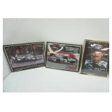 Collectible Dale Earnhardt Framed Picture Poster Collection (5ct)