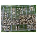 Jewelry Making Supplies in Organizers