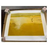 The Seagull by Robert Schaar 138/300