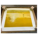 The Seagull by Robert Schaar 138/300