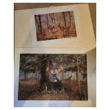 Set of 2 James Kennedy Wildlife Art Prints - Signed Deer Scenes