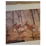 Set of 2 James Kennedy Wildlife Art Prints - Signed Deer Scenes
