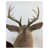 Ten point Mule Deer Buck Head Mount