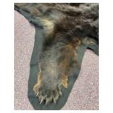 5-foot-long black bear pelt on felt