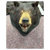 5-foot-long black bear pelt on felt