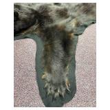 5-foot-long black bear pelt on felt