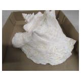 Large Conch Shell