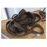 3" Vertical Choker Strap