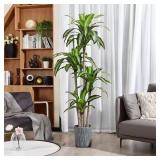 6 Foot Tall Artificial Dracaena Plant with Pot for Indoor Decor