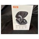CT22 True Wireless Earbuds Bluetooth 5.3 with Charging Case