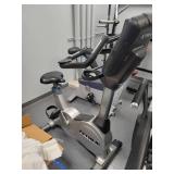 True Upright Bike (590933)
