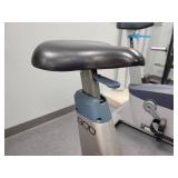 True Upright Bike (590933)