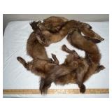 Group of Vintage Mink Pelts Furs