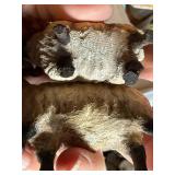 Vintage Hand Painted Noah