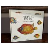 Tropical Fishes of the East Indies by Samuel Fallours