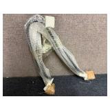 Pannier Rail Kit For Speedmaster 1200