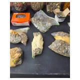 Assortment of Fasteners