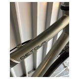 Raleigh Detour Hybrid Bicycle - Size Large