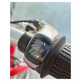 Momentum Cruiser Bicycle - Size Large