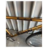 Bianchi Boardwalk Hybrid Bicycle - Size Large