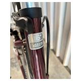 Trek Navigator Step Thru Bicycle - Size Small